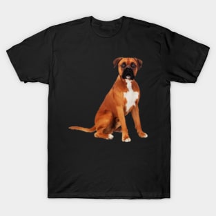 Boxer Dog, Brown Boxer Dog Lover T-Shirt